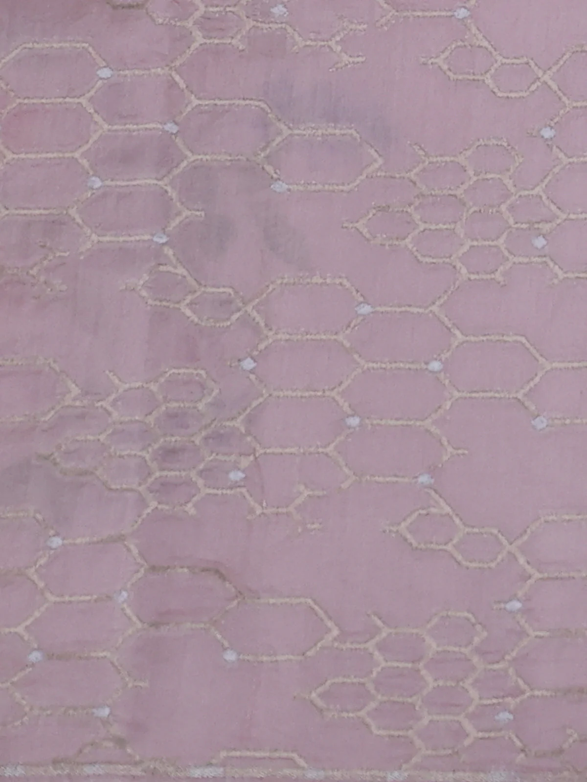 Mild Peach Organza Hand Painted Silk Saree - Image 3